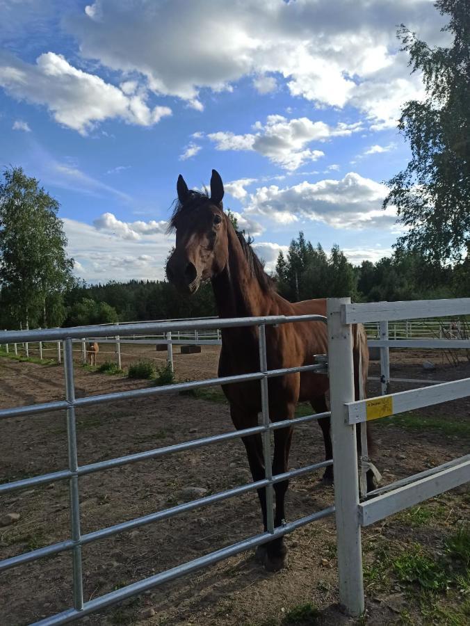 Bb Polle - With The Horse View Διαμέρισμα Μικέλι Εξωτερικό φωτογραφία